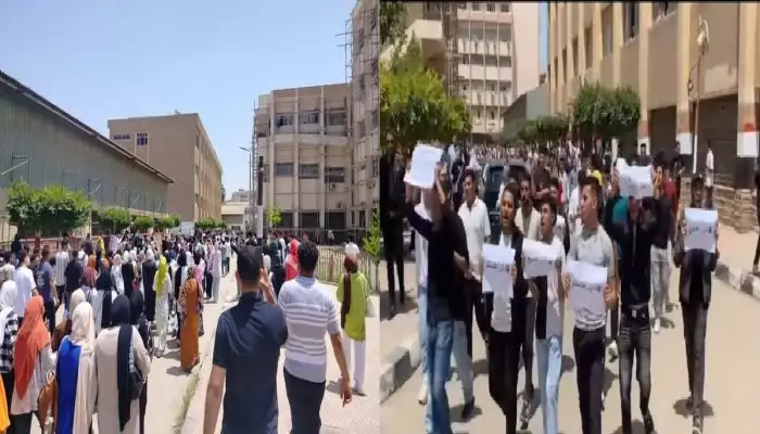 ارشيفية