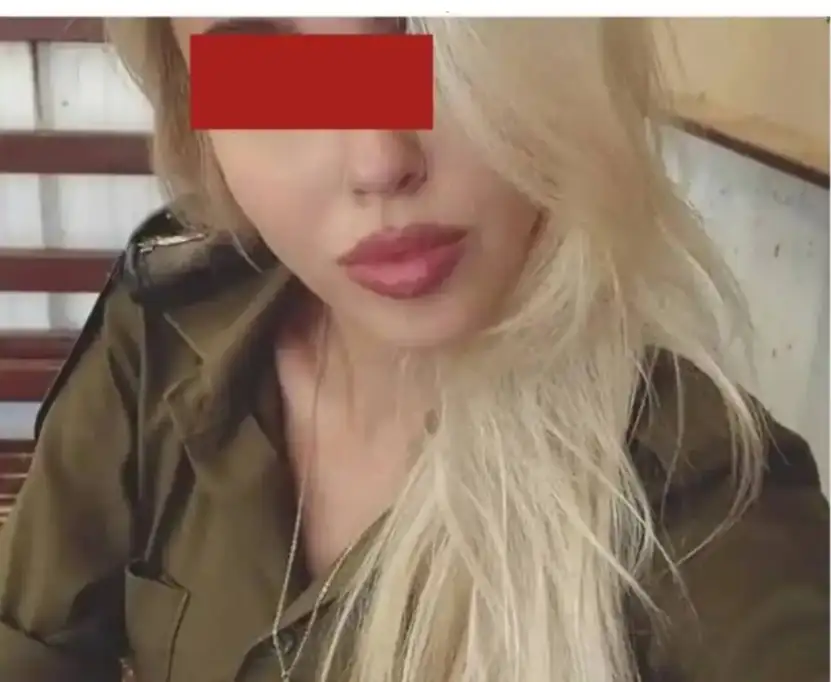 ارشيفية 