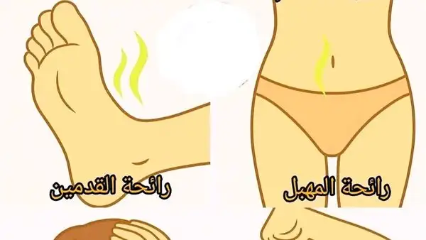أرشيفة 