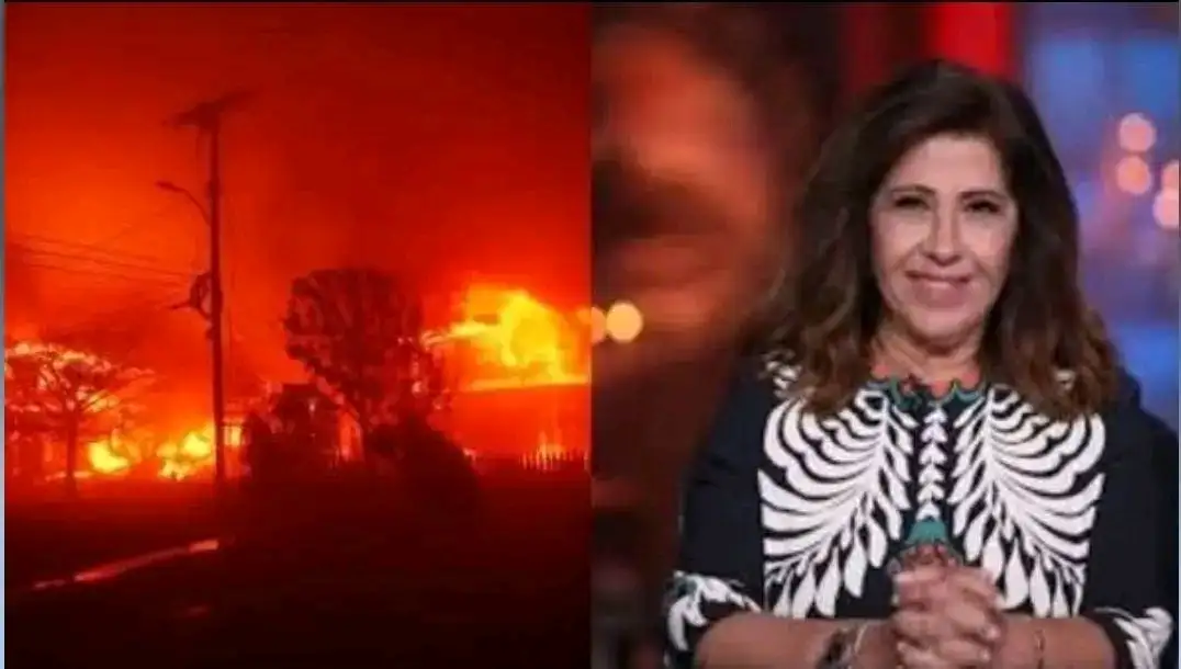 ارشيفية 