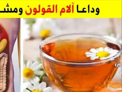 إرشيفة