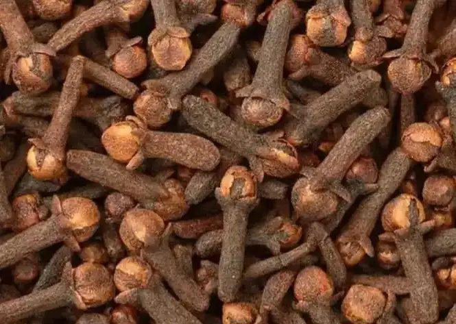 أرشيفة 