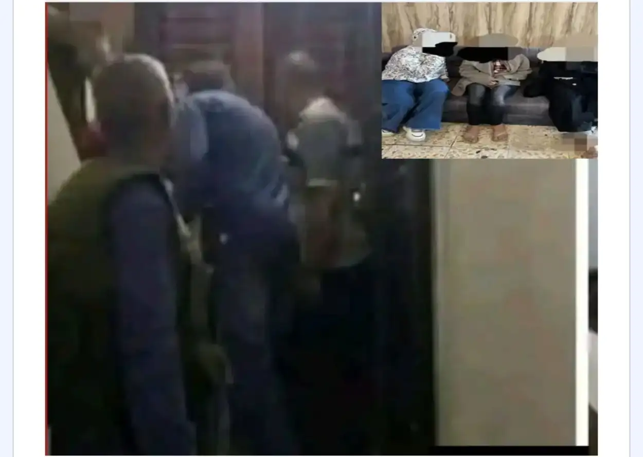 ارشيفية 