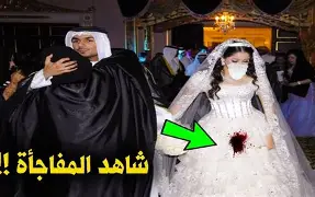 ارشيفية