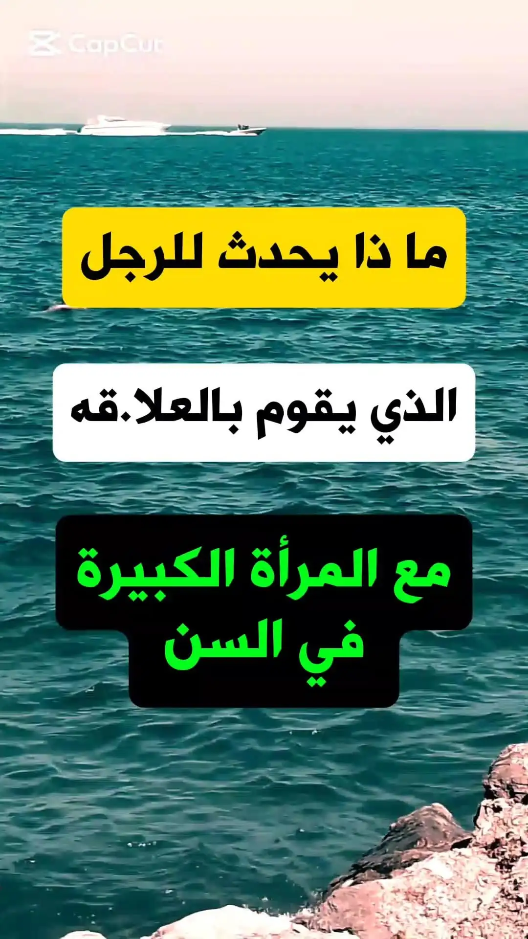 ارشيفية.     