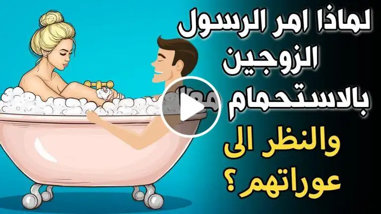 ارشيفية 