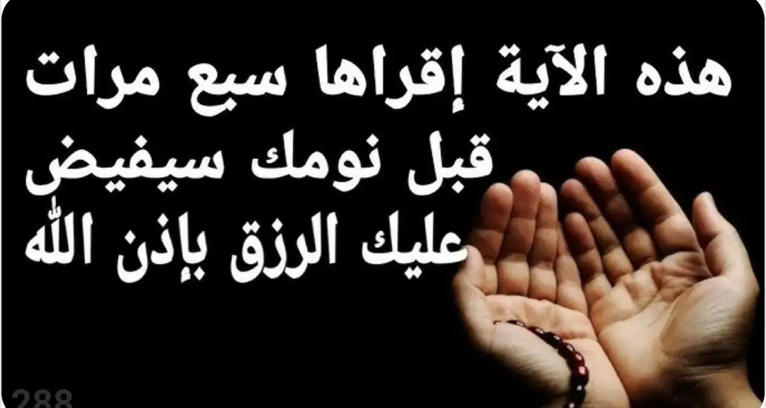 ارشيفية 