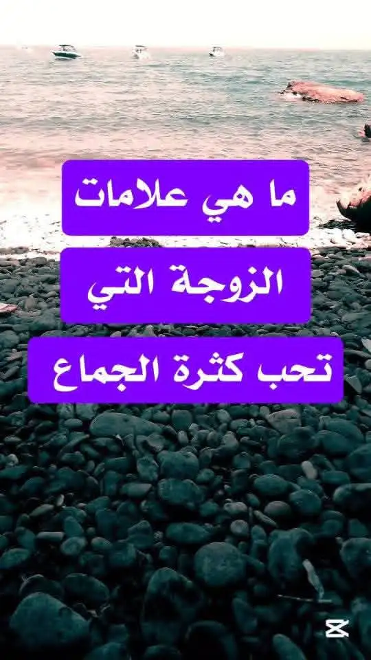 ارشيفية.     