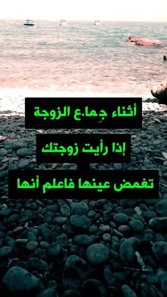 ارشيفية.     