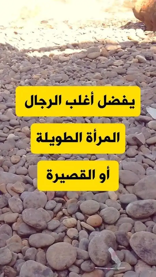 ارشيفية.     