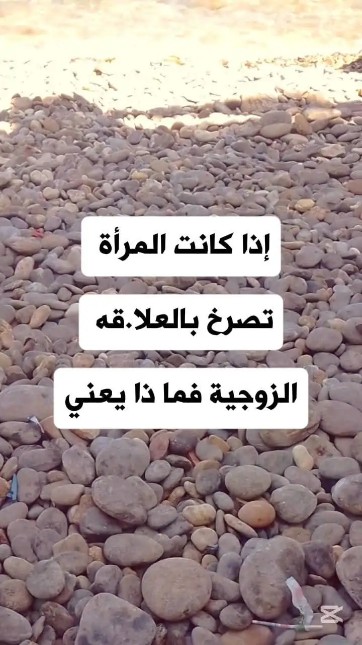 ارشيفية.     