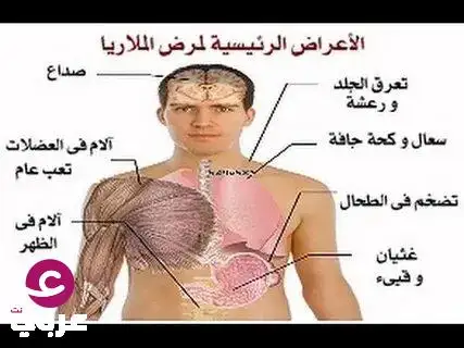 ما هو مرض كينيدي الخطير ولماذا يصيب الرجال فقط؟ 