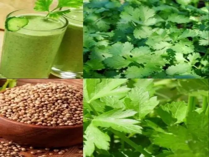 إرشيفة
