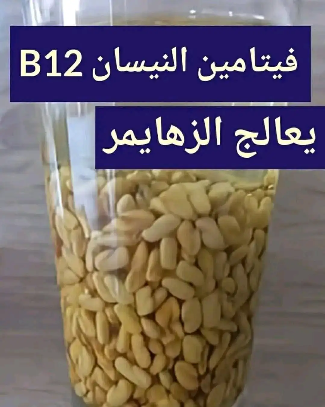 ارشيفية