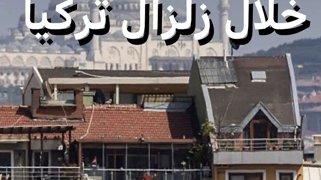 ارشيفية 