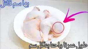 ارشيفية
