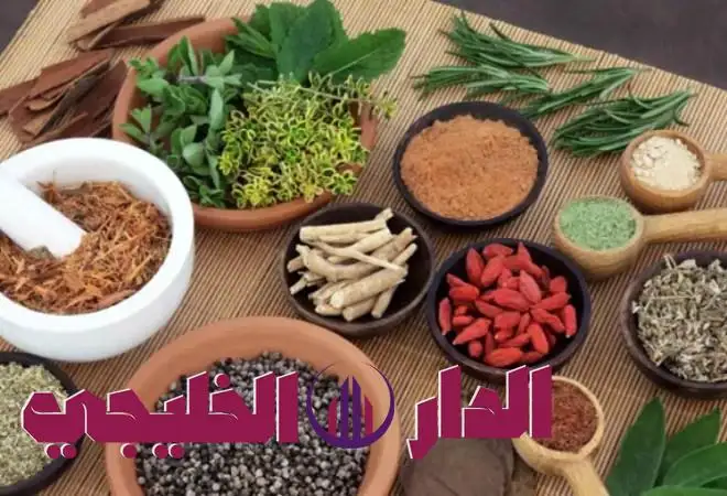 ارشيفية. 