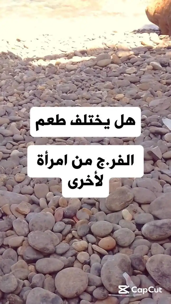 ارشيفية.     