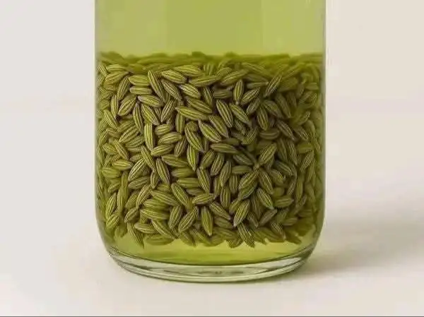 إرشيفة