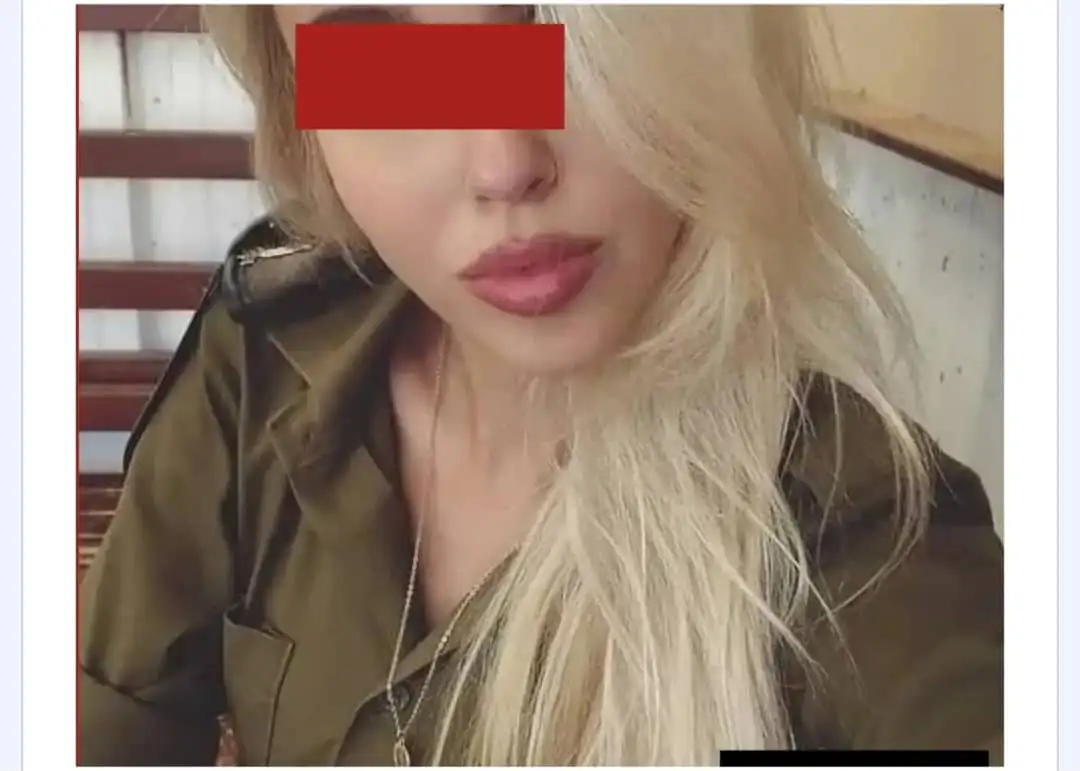 ارشيفية 