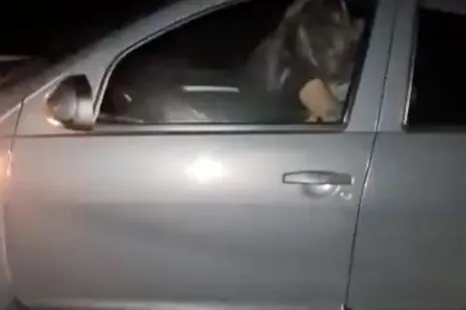 أرشيف 