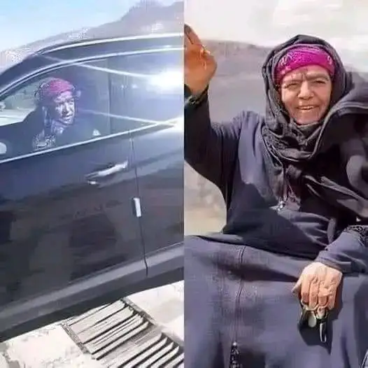 ارشيفية.     