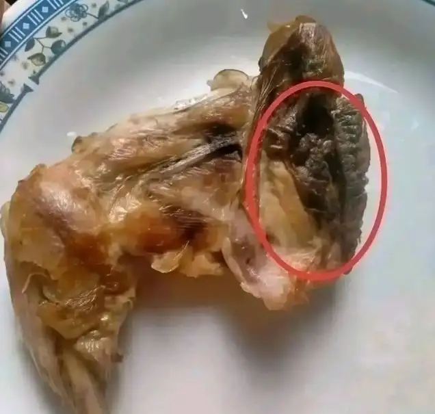 أرشيفة 
