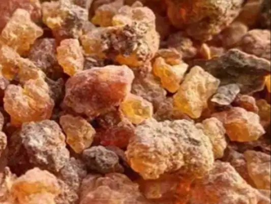 إرشيفة