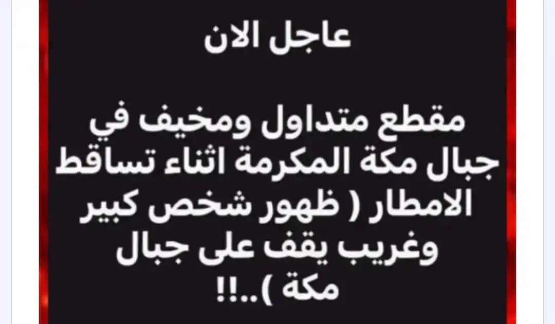 ارشيفية 