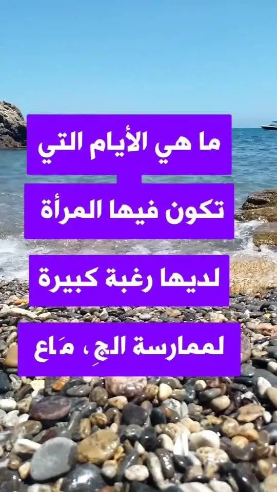 ارشيفية.     