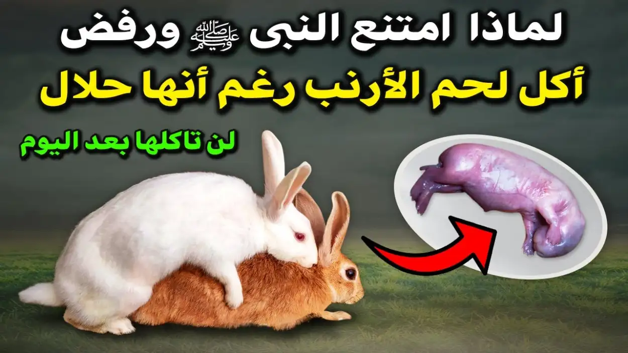   ارشيفيه