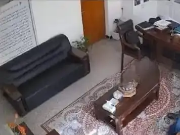 ارشيفية.     