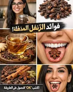 ارشيفية 