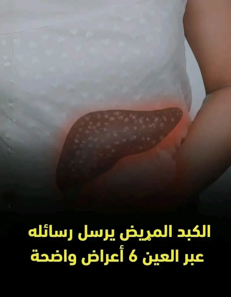 الكبد