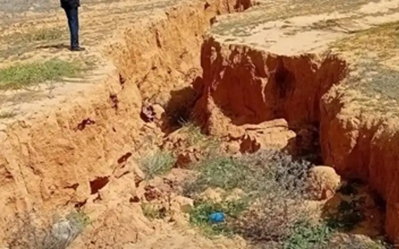   ارشيفيه