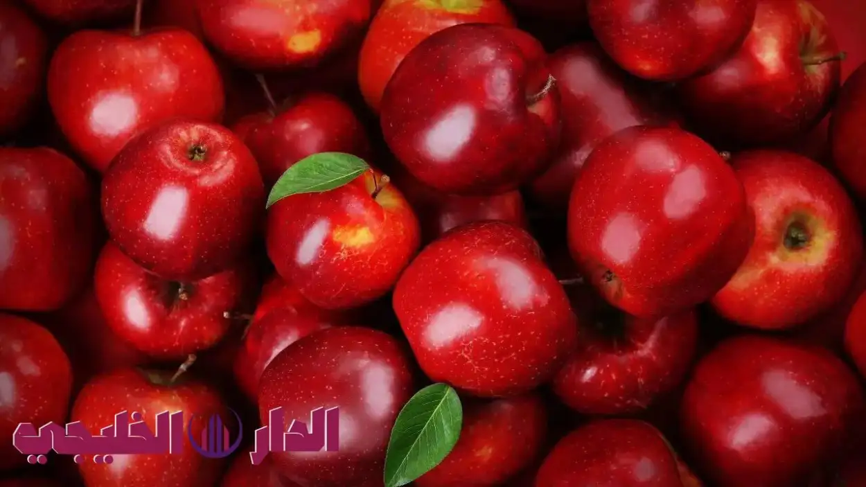أرشيفة 