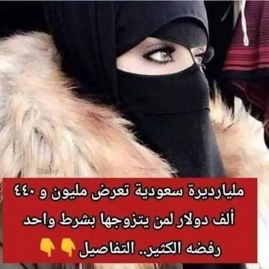 ارشيفية