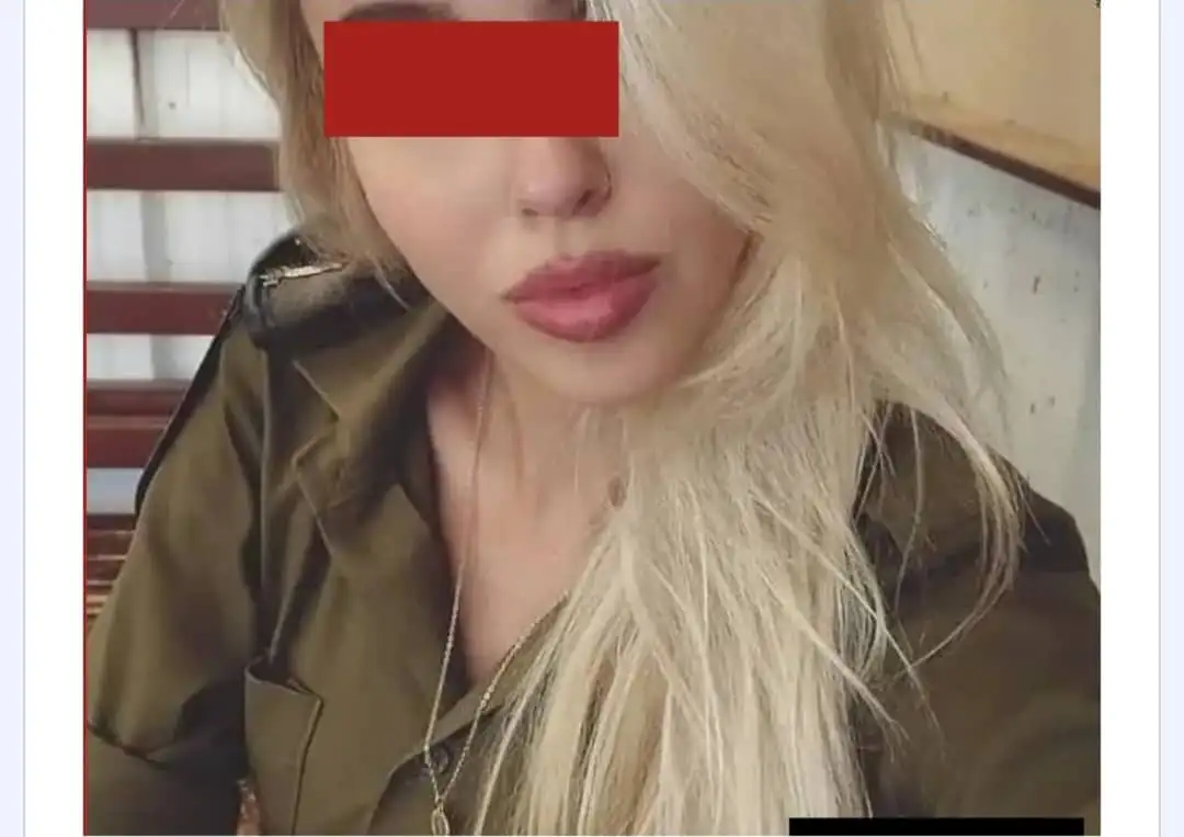 ارشيفية 
