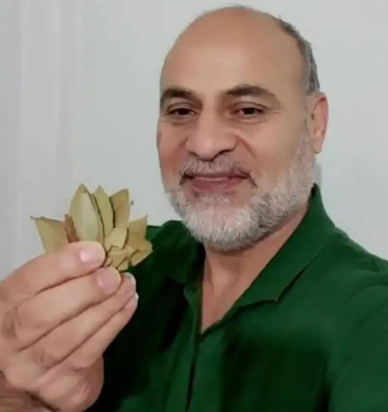 ارشيفية