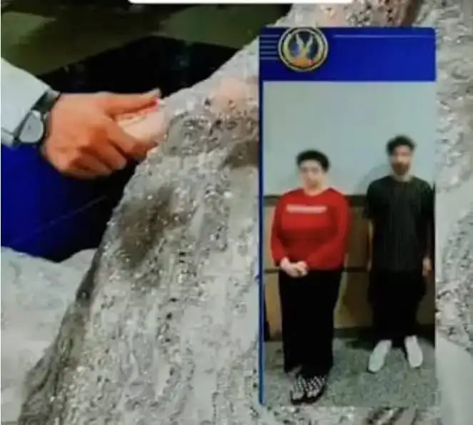 ارشيفية 