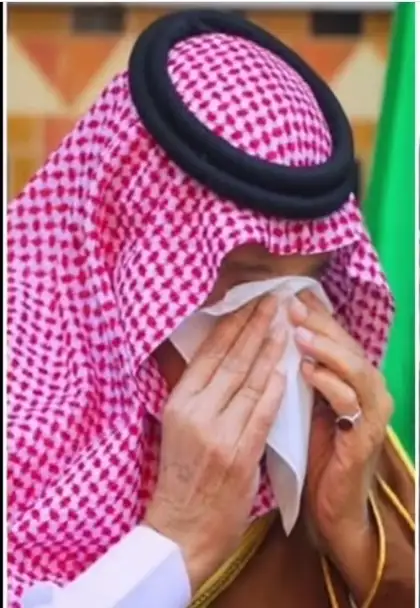 ارشيفية