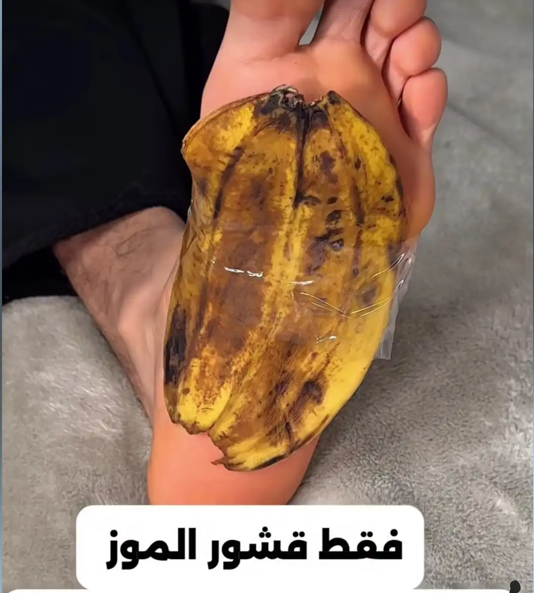 أرشيفة 