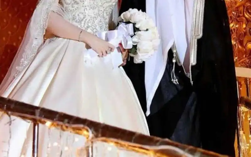 ارشيفية 