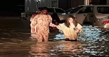 ارشيفية