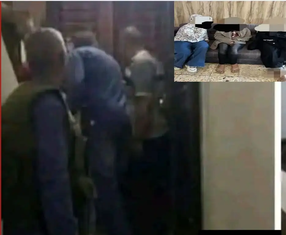ارشيفية