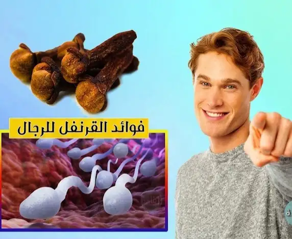 ارشيفية 