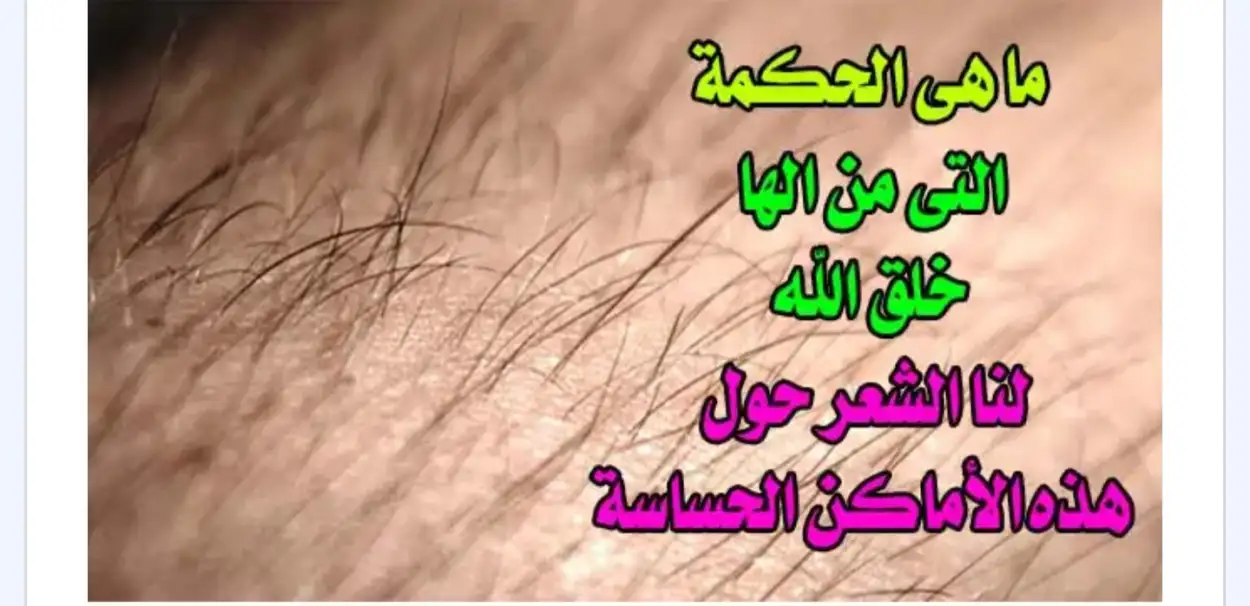 ارشيفية 