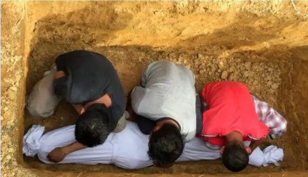 ارشيفية.     
