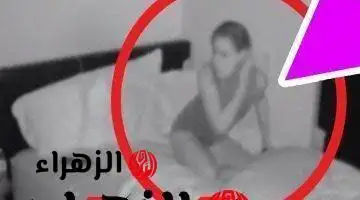 ارشيفية