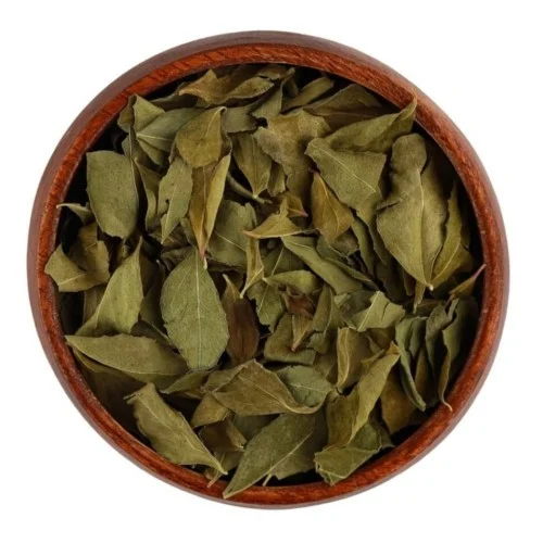 ارشيفية